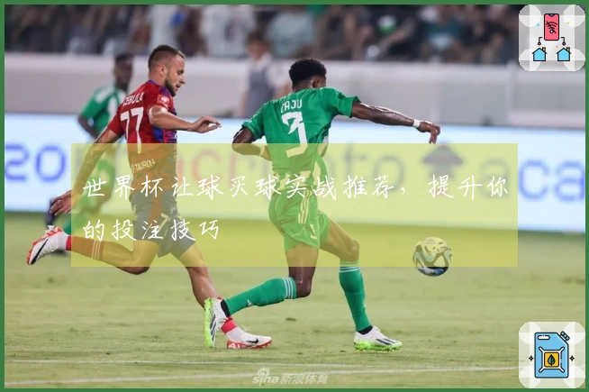 世界杯让球买球实战推荐，提升你的投注技巧