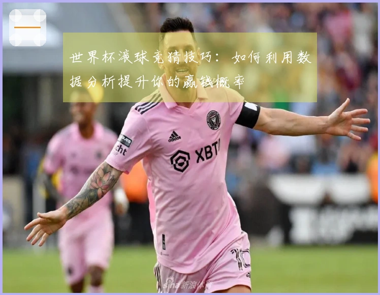 世界杯滚球竞猜技巧：如何利用数据分析提升你的赢钱概率