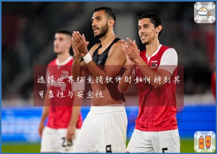 选择世界杯竞猜软件时如何辨别其可靠性与安全性